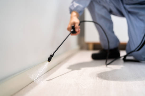 Licensed Termite Control service in Homosassa, FL - Nex Pest Control