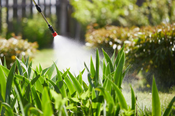 24/7 Emergency Termite Control experts in Homosassa, FL