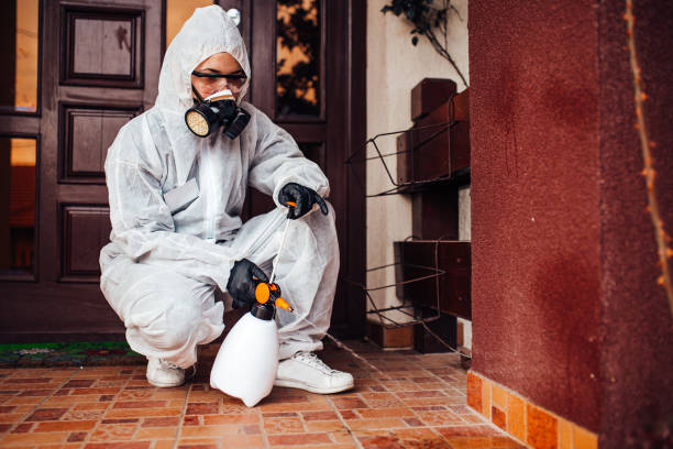 Reliable Termite Control contractor in Homosassa, FL by Nex Pest Control